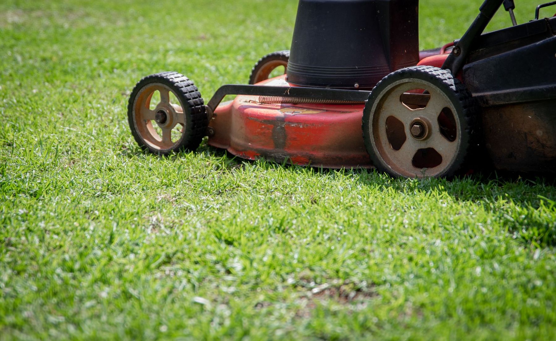 A mower cutting a strip of fresh green grass